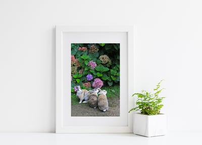 攝影藝術微噴原作 - 《觀望》1