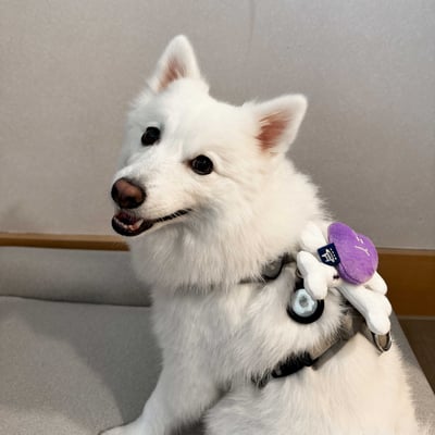 ꒰ 2025萬聖限定 ꒱10