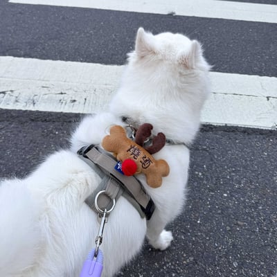 ꒰ 2025聖誕限定 麋鹿 每人限購1個 ꒱1