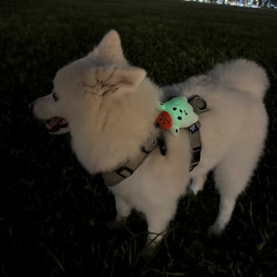 ꒰ 2025萬聖限定 ꒱6