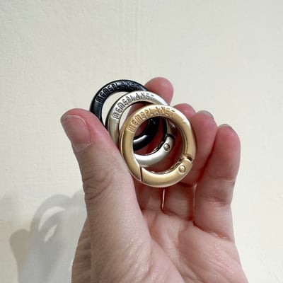 ꒰ 秘秘扣環 ꒱1