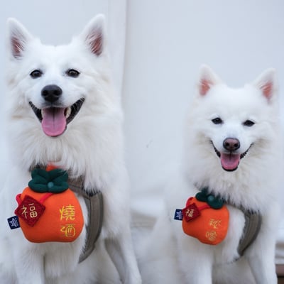 ꒰ 2025新年限定 ꒱3