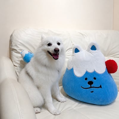꒰ MEJI大抱枕 ꒱1