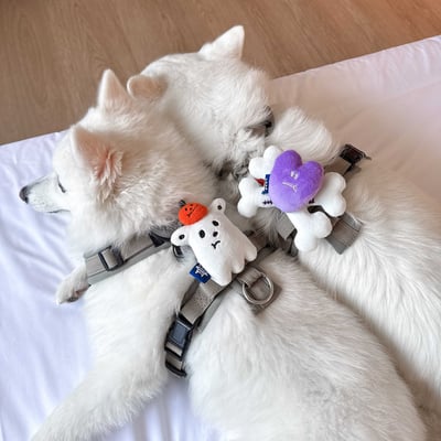 ꒰ 2025萬聖限定 ꒱3