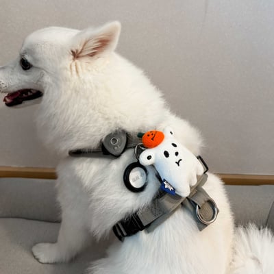 ꒰ 2025萬聖限定 ꒱9