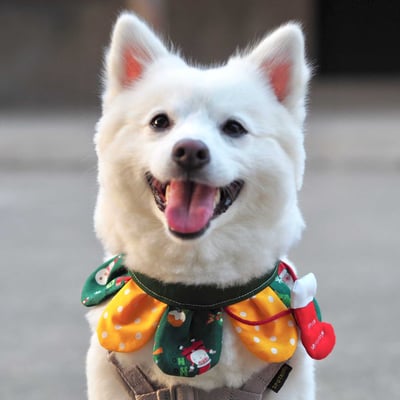 ꒰ 2023聖誕限定 ꒱5