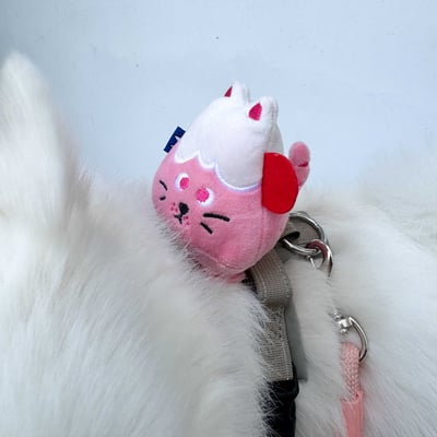 ꒰ 富士小貓 FUNI 芙妮 ꒱2