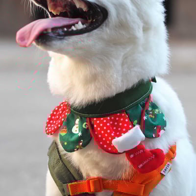 ꒰ 2023聖誕限定 ꒱4