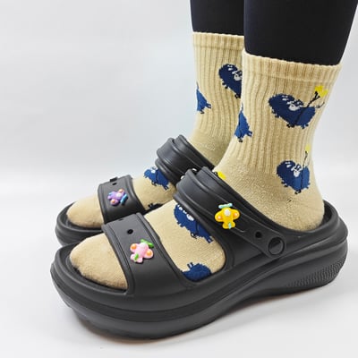 AKIBO多彩飛機款洞洞鞋扣(五件組)