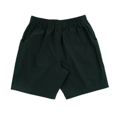 NCAA密西根大學Michigan工裝短褲-灰綠6