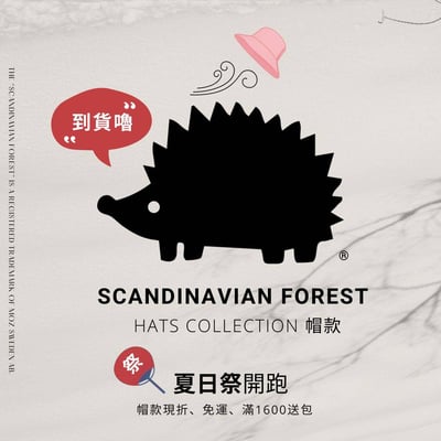 SCANDINAVIAN FOREST北歐小刺蝟水洗刺繡丹寧報童帽-水洗牛仔藍
