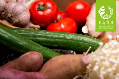 優惠有機蔬果箱 21件組｜當季鮮採｜嚴選蔬果＋豆製品＋麵食5