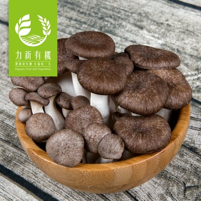 有機黑美人菇 150g/盒｜厚實多汁｜有機栽培鮮菇1
