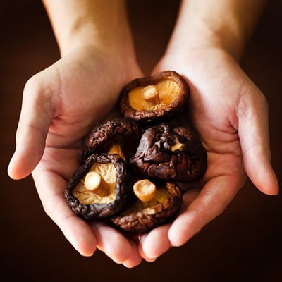 有機桂燒香菇禮盒裝 130g｜龍眼木手工烘焙｜傳承古法｜厚肉香菇精選4