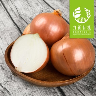 美國有機黃洋蔥1
