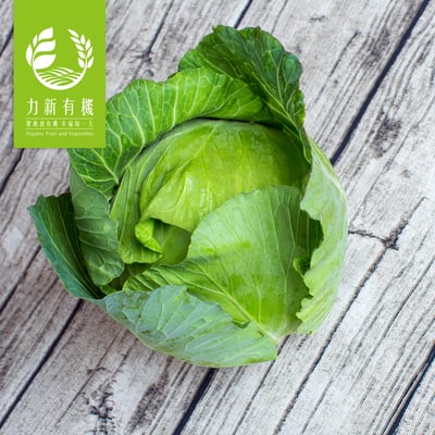 有機高冷高麗菜 900-1100g｜高山栽種 清脆鮮甜 無農藥安心1