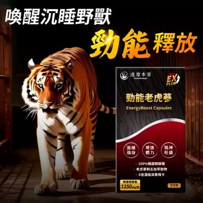 【達摩本草】黑瑪卡 勁能老虎蔘粉包EX PLUS 24包2