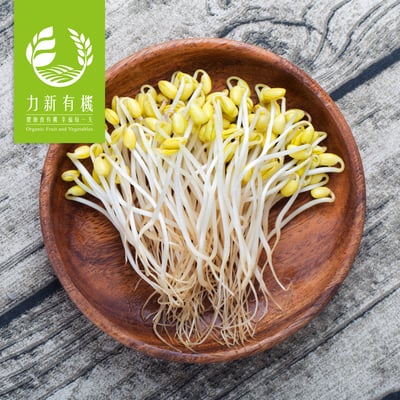 有機黃豆芽 160g/盒｜脆嫩爽口｜無農藥安心栽培1