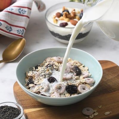 【米森 vilson】乳清蛋白纖食餐 好鈣芝麻 70g x 5包｜18g高蛋白 × 6.7g膳食纖維 × 無添加真食配方2