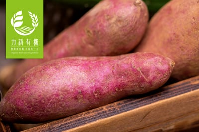 優惠有機蔬果箱 21件組｜當季鮮採｜嚴選蔬果＋豆製品＋麵食7