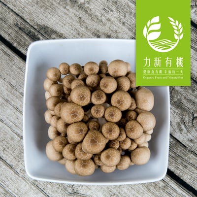 有機鴻喜菇 180g/盒｜鮮嫩脆口｜有機栽培健康菇1