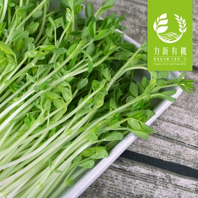 有機豌豆苗 120g/盒｜鮮嫩爽脆｜富含膳食纖維2
