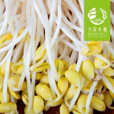 有機黃豆芽 160g/盒｜脆嫩爽口｜無農藥安心栽培2