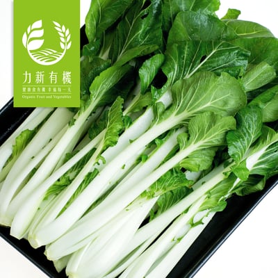 有機黑葉白菜2