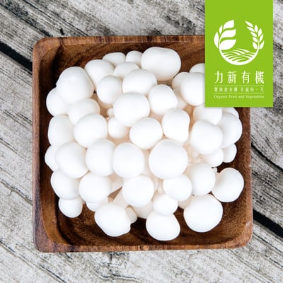 有機雪白菇 120g/盒｜口感清脆鮮甜｜安心無農藥1