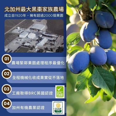 【O’natural 歐納丘】有機去籽黑棗乾100g｜加州原產｜全程機械化不落地｜果肉軟Q｜富含膳食纖維｜排便順暢首選2