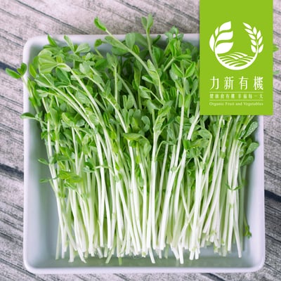 有機豌豆苗 120g/盒｜鮮嫩爽脆｜富含膳食纖維1
