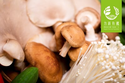 優惠有機蔬果箱 21件組｜當季鮮採｜嚴選蔬果＋豆製品＋麵食4