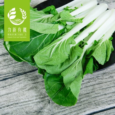 有機奶油白菜1