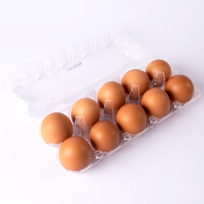 【綠生活】土雞兒雞蛋 10入｜人道飼養｜天然放養｜無抗生素優質雞蛋2