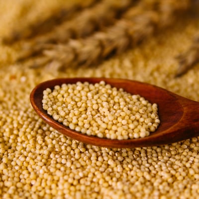 【歐特 OTER】有機小米 480g｜高營養穀物，富含蛋白質與纖維，幼兒老人適合食用2