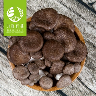 有機黑美人菇 150g/盒｜厚實多汁｜有機栽培鮮菇2