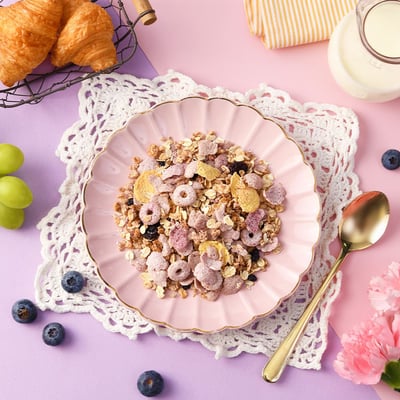 【米森 vilson】BC益生菌藍莓脆麥片 300g2