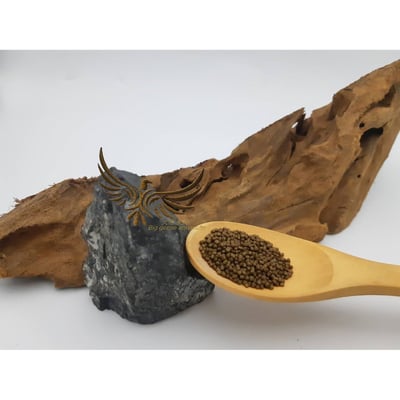 小型魚 高蛋白上浮飼料2