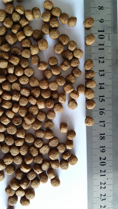 高蛋白上浮飼料2