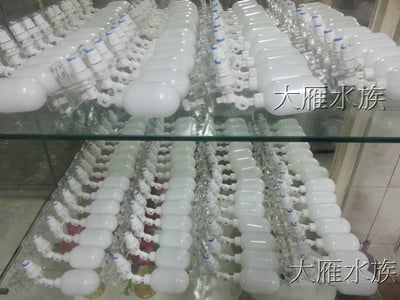 自動補水器-二分口徑4