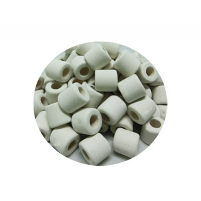 石英超微孔培菌環20KG1