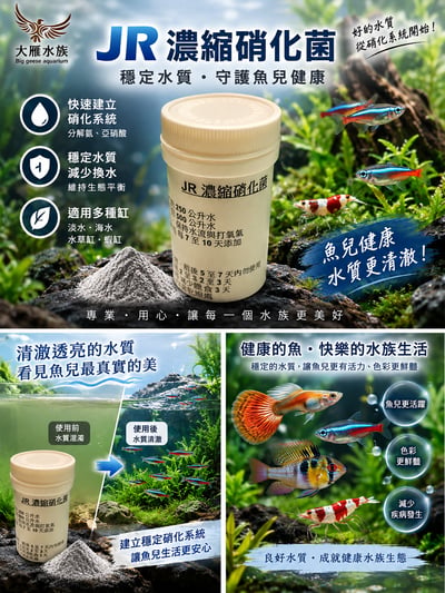 JR濃縮硝化菌 快速建立硝化系統 改善水質2