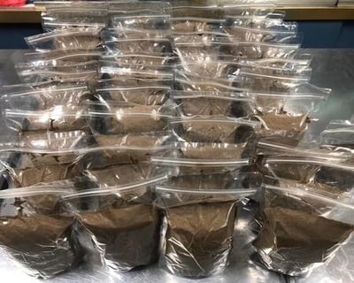 JR通用型緩沉飼料1