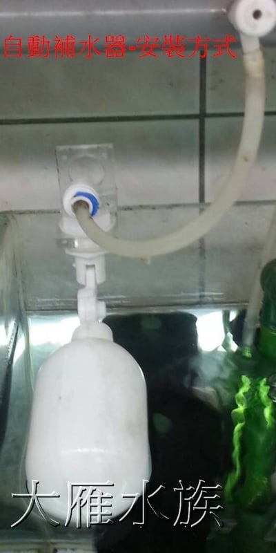 自動補水器-二分口徑1