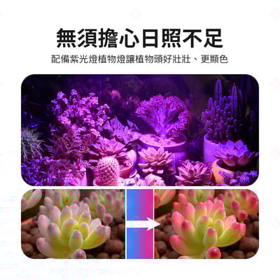 夾式植物燈9