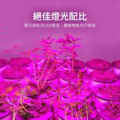 夾式植物燈10