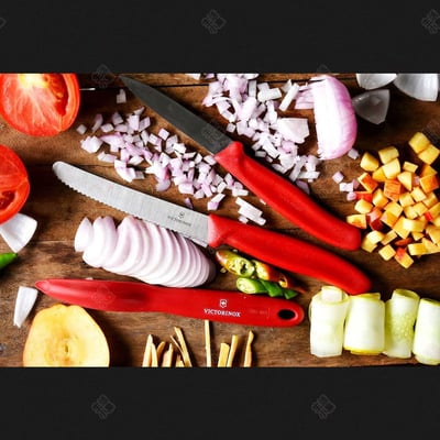 蔬果廚刀及餐刀 Victorinox瑞士維氏4