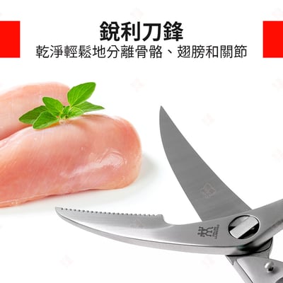 家禽剪 ZWILLING德國雙人牌5