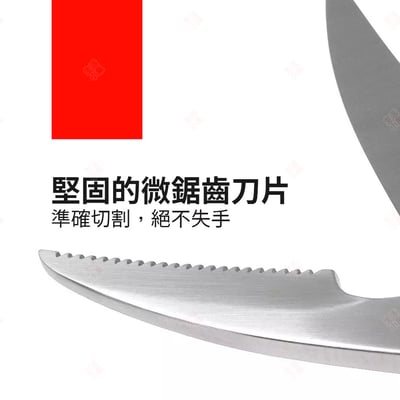 家禽剪 ZWILLING德國雙人牌6