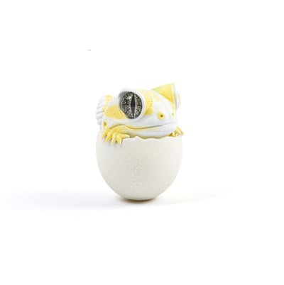 【搗搗蛋】守宮不倒蛋14